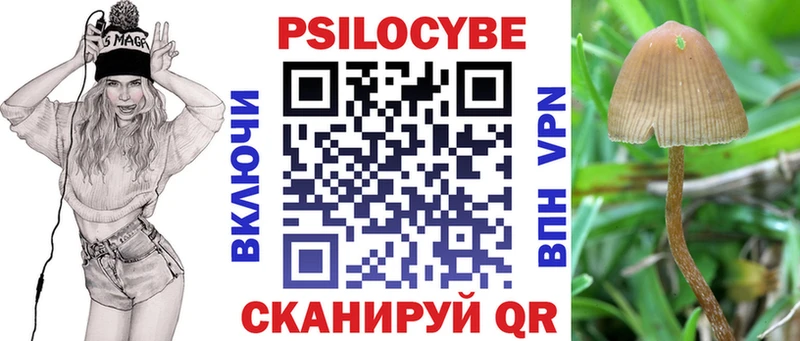 как найти закладки  hydra зеркало  Галлюциногенные грибы Psilocybe  Губаха 